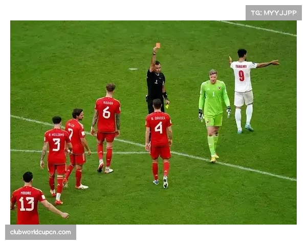 威尔士一球小胜列支敦士登 保留晋级附加赛希望